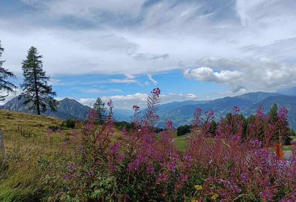 Sommerurlaub 2022 Salzburger Land Ausblick ins Tal