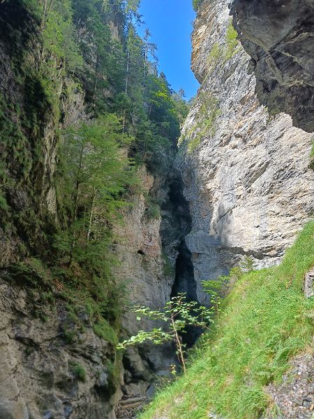 Grünbewachsene Felsen in der Liechtensteinklamm