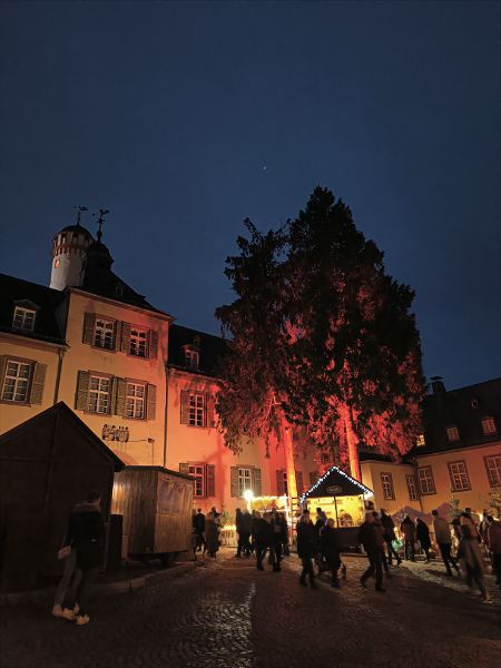 Beleuchtetes Schloss am Weihnachtsmarkt Bad Homburg