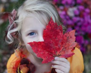 Herbst erleben mit Kindern