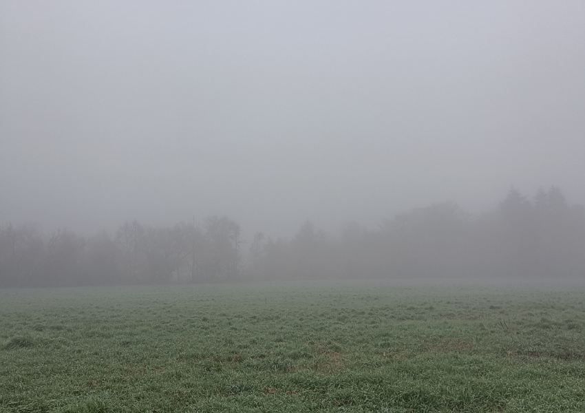 vernebelter Monatsrückblick November